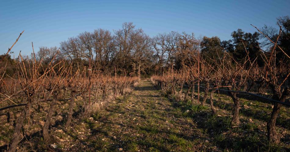 Domaine Félys@Domaine Félys