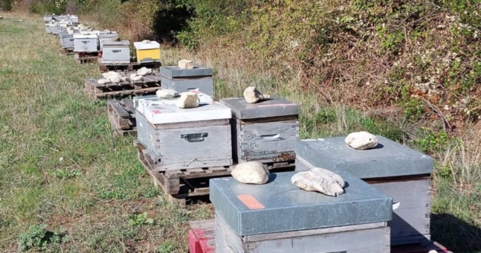 Lou Pastre@Lou Pastre Bienvenue à la ferme