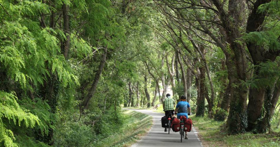 7 - From Orange to Caderousse - from Roman city to the Green Island of the Rhône- N°7@ADTHV-Provence-Rhone-Ventoux