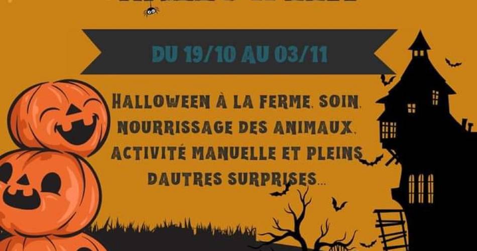 Lagrandterre : Halloween à la ferme@lagrandterre ferme