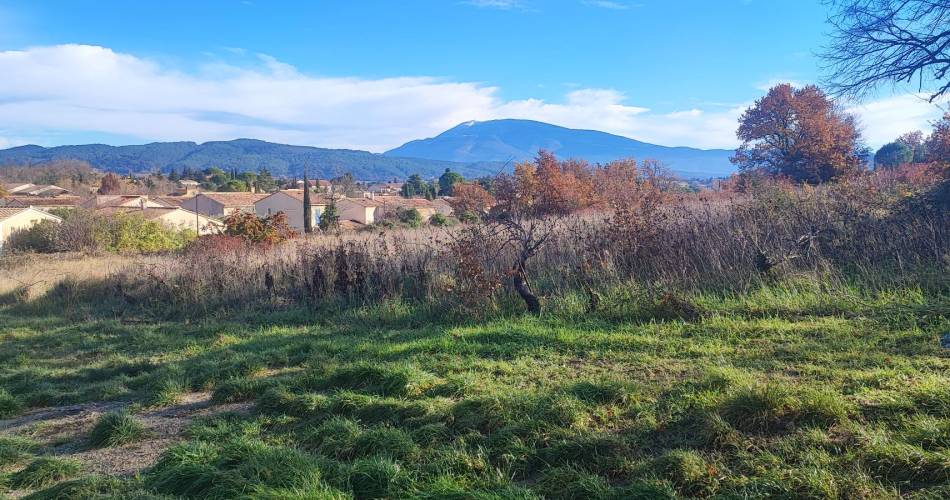 Le Mont Ventoux à l'horizon  - Chambre d'hôtes@Farida Amrani