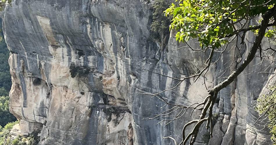 Le Haut Deyme@HIVERT