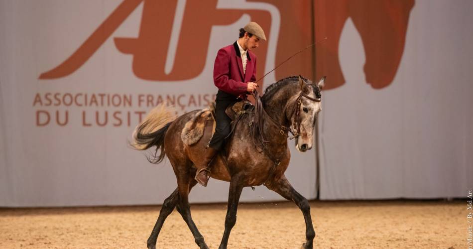 Ecurie Le Pas du Loup@Ecurie Le Pas du Loup_Caumont-sur-Durance