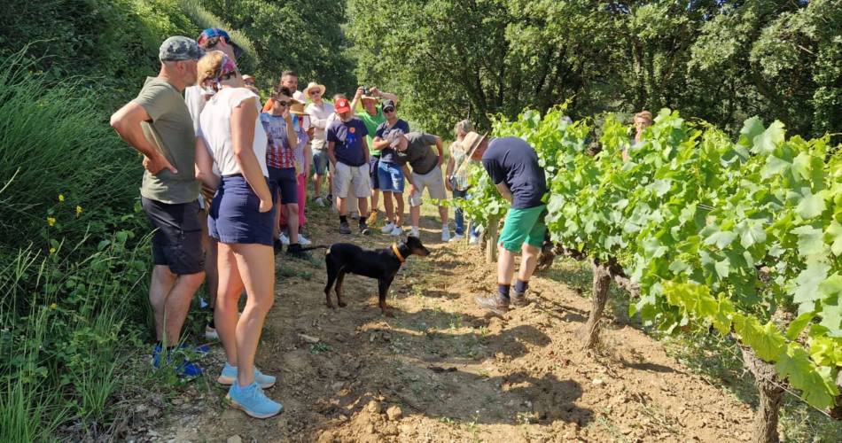 Become a winemaker for a day - Château Cohola@Château Cohola