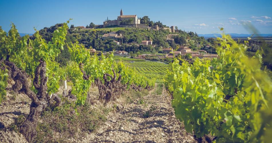 Sentier Bouteille in Cairanne@Appellation Cairanne, Cru des Côtes du Rhône