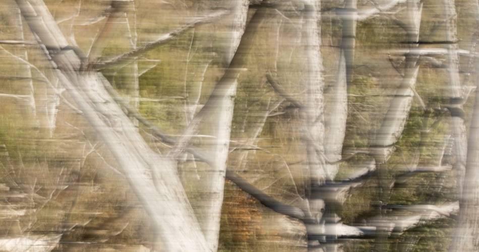 Exposition de photographies : Vibrances@Exposition 