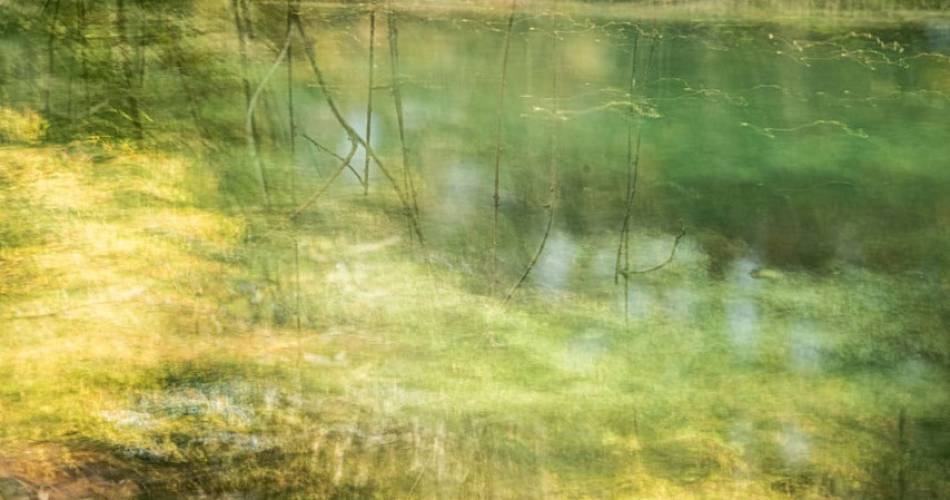 Exposition de photographies : Vibrances@Exposition 