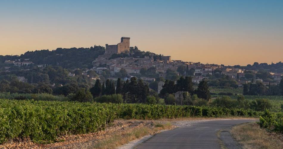 Cycle route: From the stone to the pebbly terroir@chateauneuf du pape© Alain Hocquel-8749
