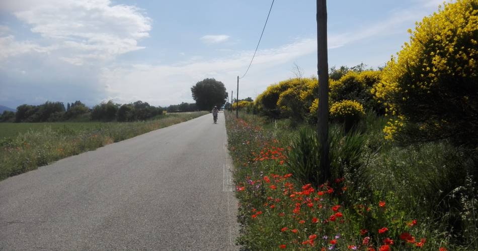 Cycle route: From the stone to the pebbly terroir@Pays d'Orange Tourisme - RP