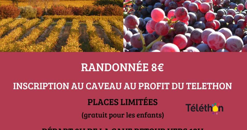 Randonnée vigneronne@©Demazet la cave