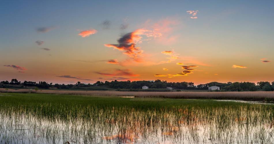 L'Etang Salé de Courthézon@Couleurs Nature 