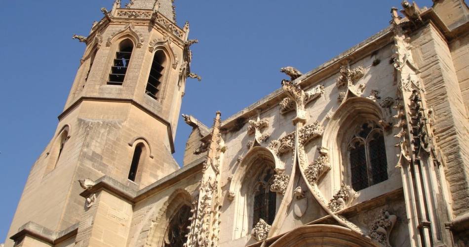 Carpentras, visite guidée de la cathédrale St Siffrein, son trésor et sa crèche provençale@OTI Ventoux Provence