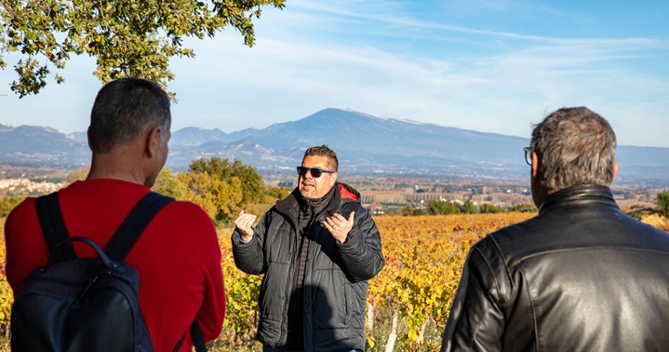 Découverte et visite des terroirs de Châteauneuf du Pape@© Découverte et visite des terroirs de Châteauneuf du Pape