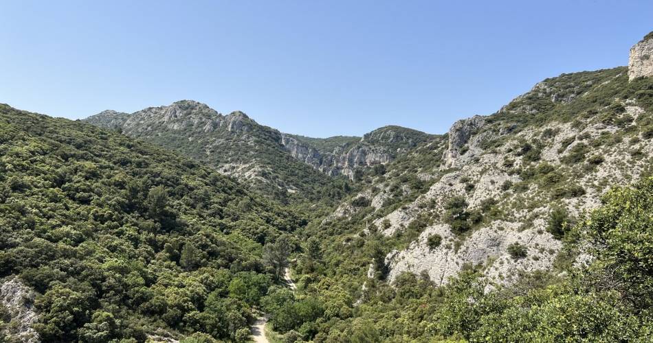 LAURIS - Du vallon de Recaute à la combe de Sautadou@©Fabrice Teurquety - OTI Destination Luberon