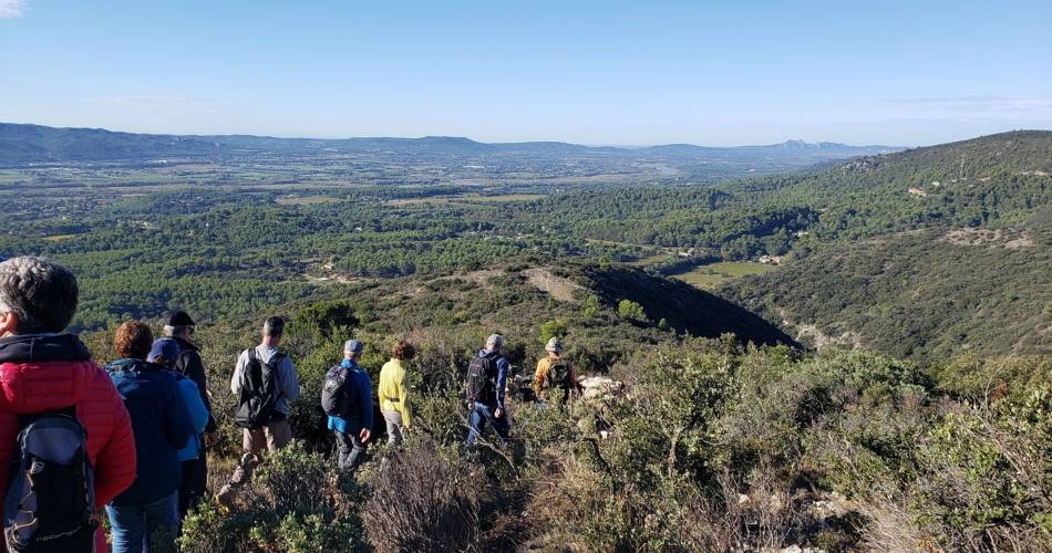 LAURIS - Du vallon de Recaute à la combe de Sautadou@©Sophie Bourlon - PNR Luberon