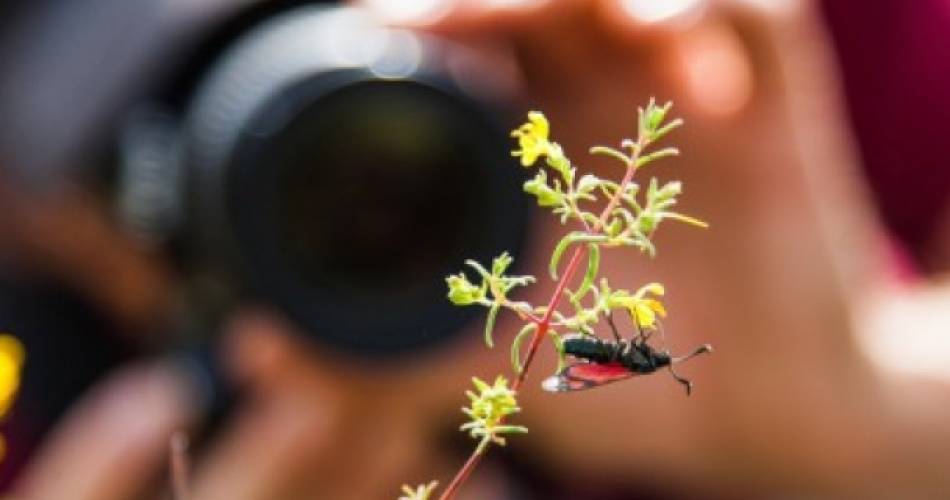 Regards sur la nature@©David Tatin