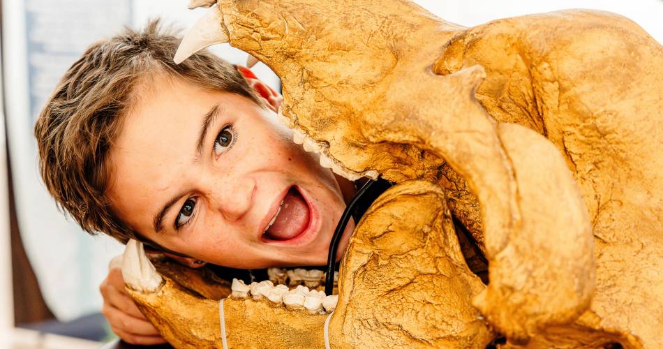 Aven d'Orgnac Grand Site de France, visit the cave and the Cité de la Préhistoire (Prehistoric City)@S. Baur - Aven d'Orgnac