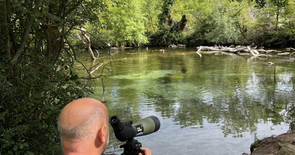 Les animaux aquatiques de la Sorgue - avec Destination Luberon@@Destination Luberon