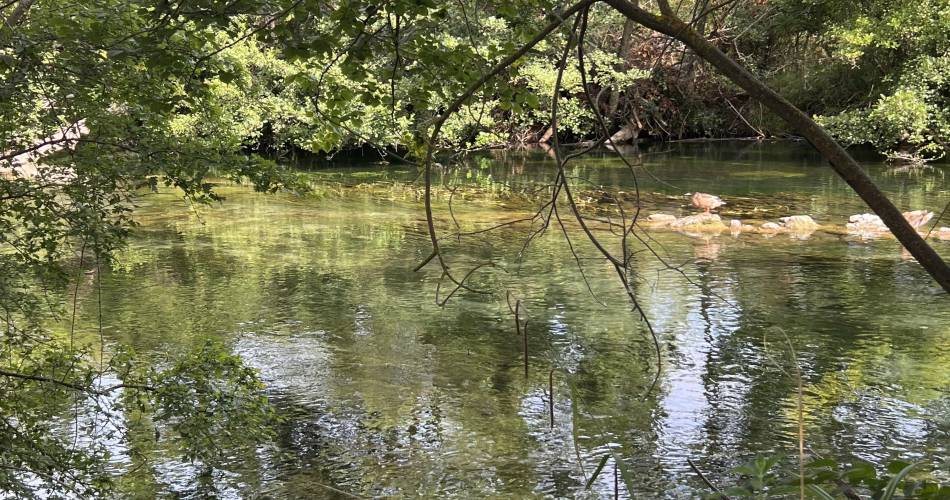 Les animaux aquatiques de la Sorgue - avec Destination Luberon@@Destination Luberon