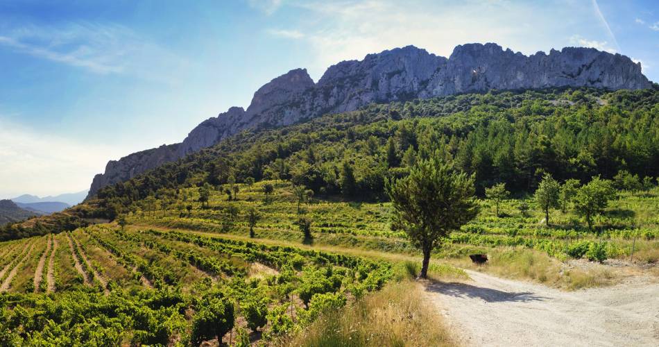 Domaine des Florets@Domaine des Florets