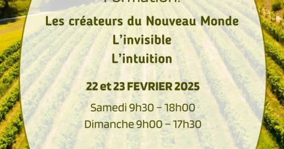 Formation : Les créateurs du Nouveau Monde : L'Invisible et l'Intuition@Formation l Les créateurs du Nouveau Monde : L'Invisible et l'Intuition