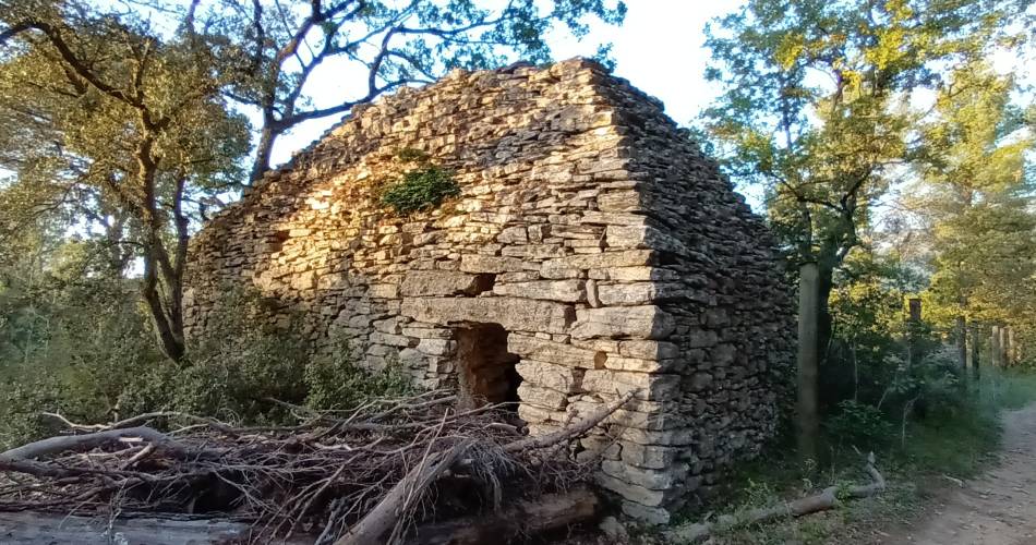 Provence et Tourisme en E Bike@Denis Courtial