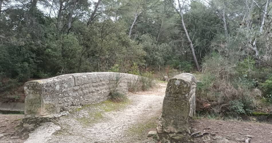 Provence et Tourisme en E Bike@Denis Courtial