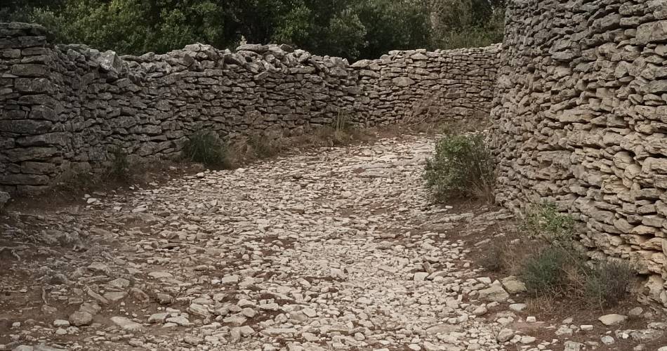 Provence et Tourisme en E Bike@Denis Courtial