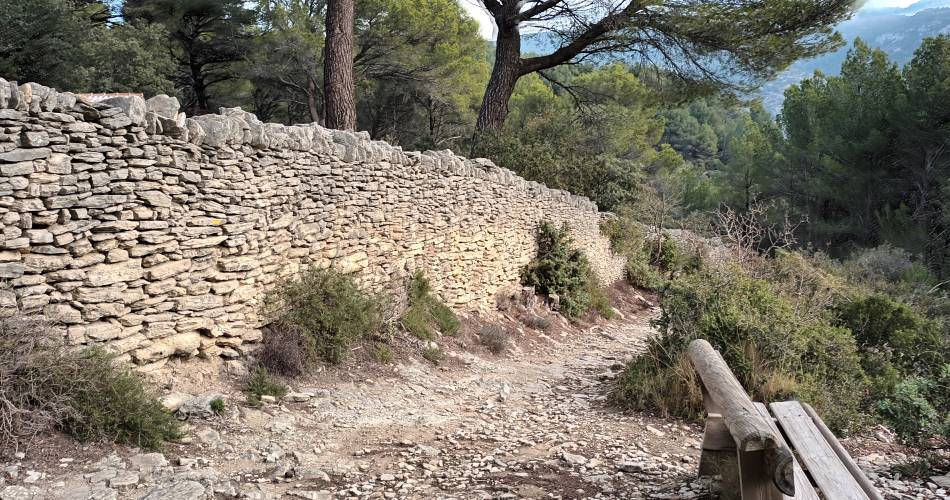 Provence et Tourisme en E Bike@Denis Courtial