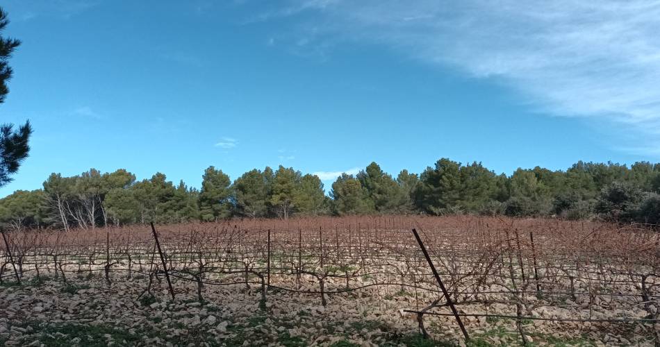 Provence et Tourisme en E Bike@Denis Courtial