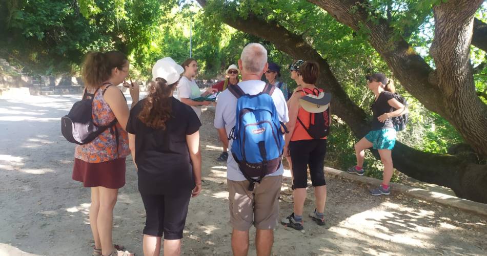 Savante Nature@Laurène MICHEL