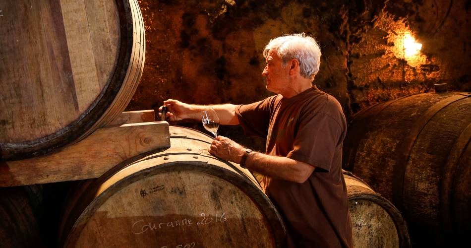 Domaine Richaud@Domaine Richaud