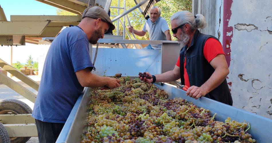 Domaine Richaud@Domaine Richaud