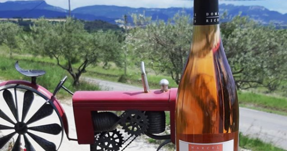 Domaine Richaud@Domaine Richaud