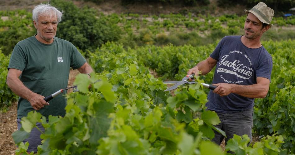 Domaine Richaud@Domaine Richaud
