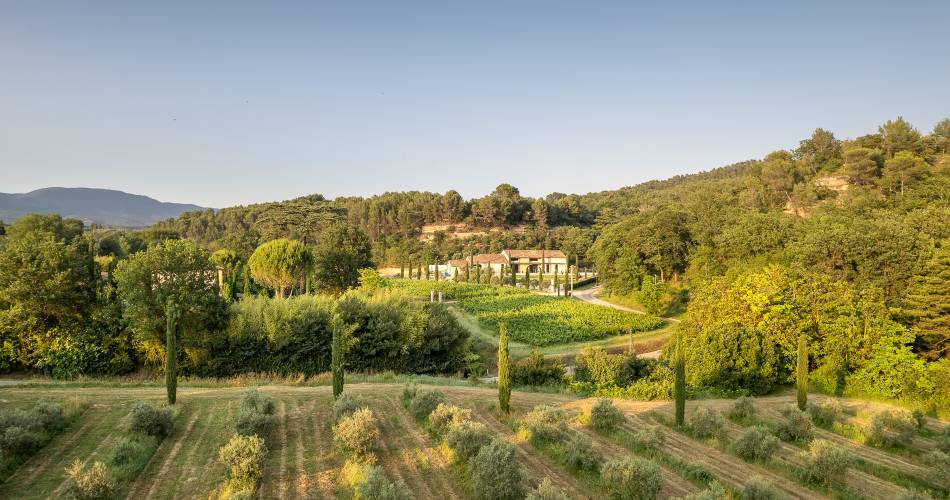 Découverte du moulin à huile d’olive et dégustation@Dégustation à la Bastide du Laval