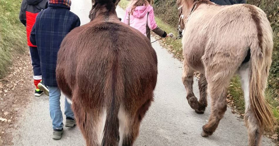 Sortie avec les ânes - programme d'animations avec Domaine des Adrès@Marion Boutin