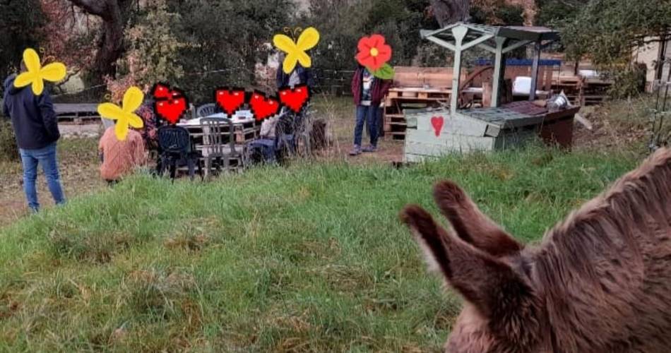 Balade avec les ânes et ateliers créatifs - programme d'animations avec Domaine des Adrès@Marion Boutin