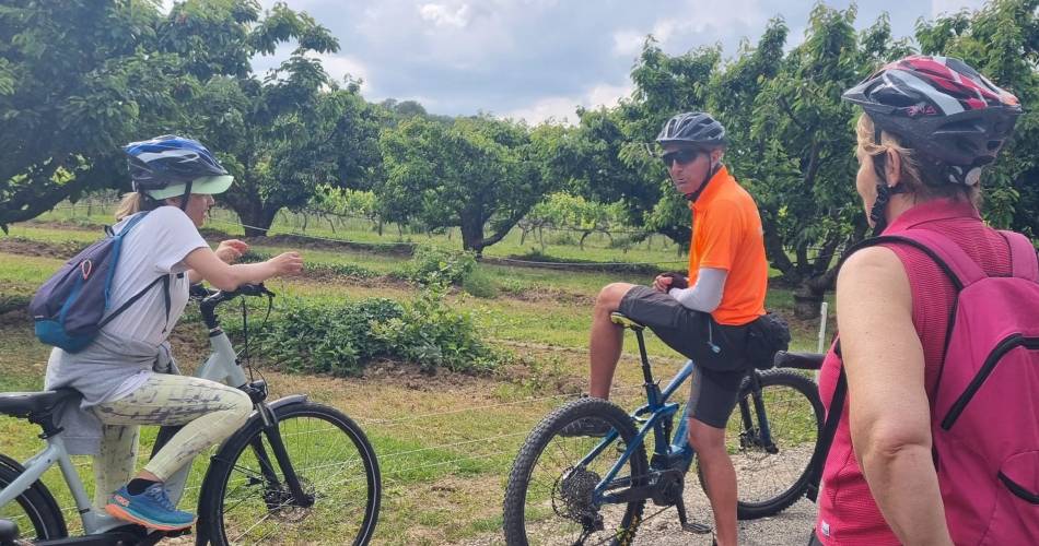 Pernes les Fontaines et les villages perchés des Monts de Vaucluse : Balade accompagnée en vélo électrique avec une dégustation de confiseries.@Balade-en-vélo-dans-les-Monts-de-Vaucluse