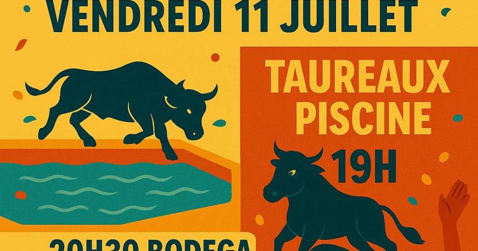 Toro piscine@Club Taurin Cavaillonnais
