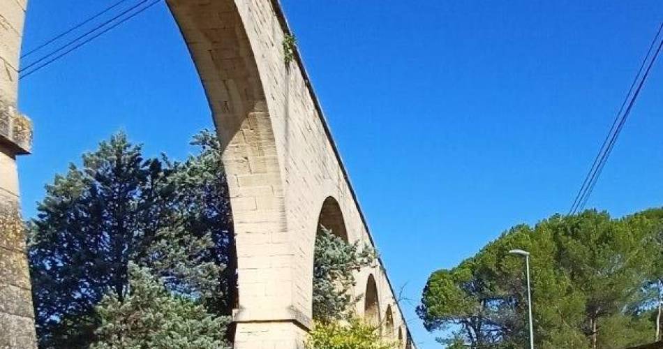 Visite en selle : Jardins de nos rues, parcs de nos villes@Cove