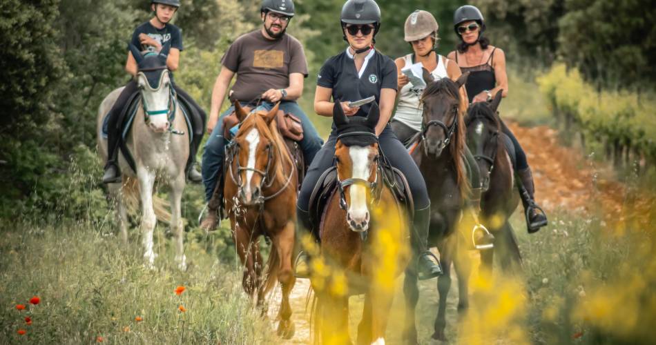 Les Écuries En'Vol@Écuries En'Vol