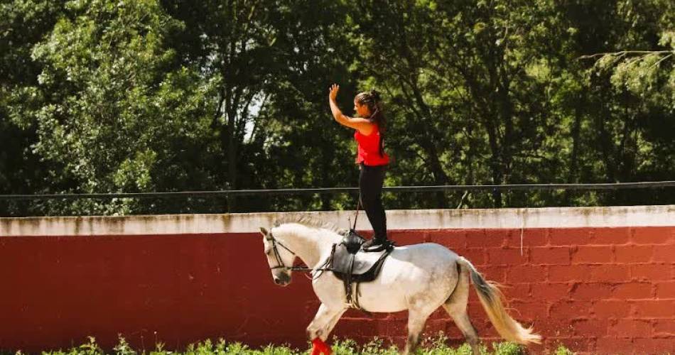 Les Écuries En'Vol@Écuries En'Vol
