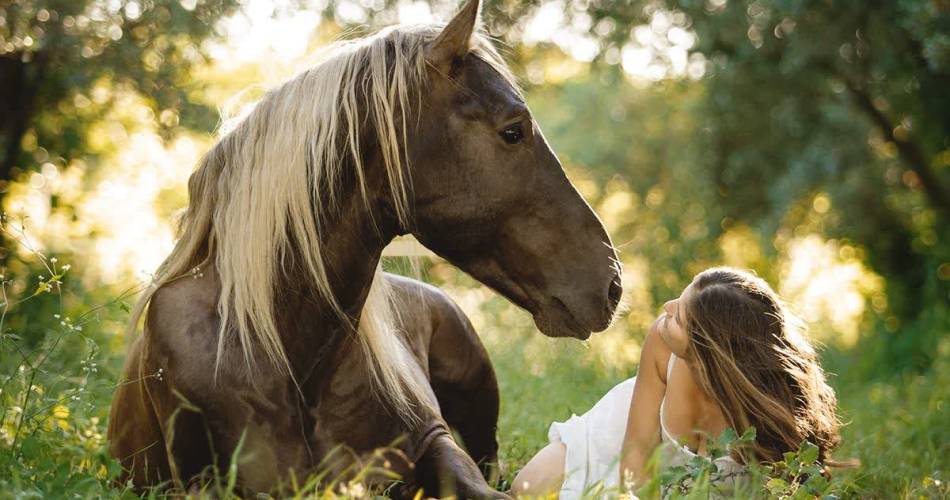 Les Écuries En'Vol@Écuries En'Vol