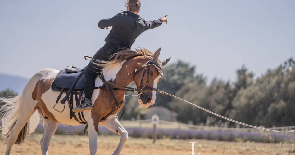 Les Écuries En'Vol@Écuries En'Vol