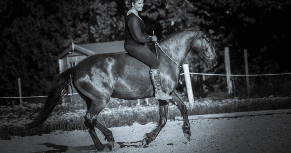 Les Écuries En'Vol@Écuries En'Vol