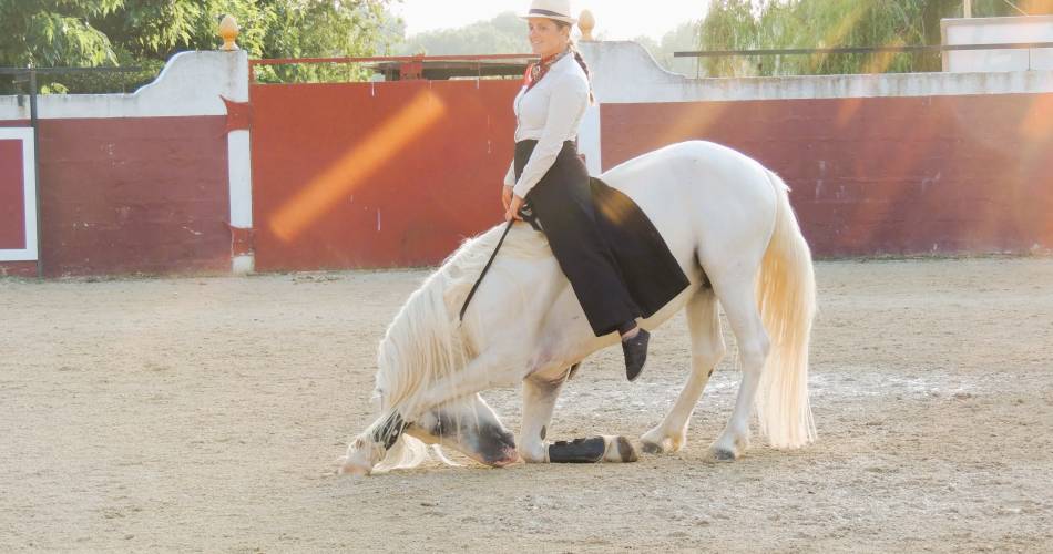 Les Écuries En'Vol@Écuries En'Vol