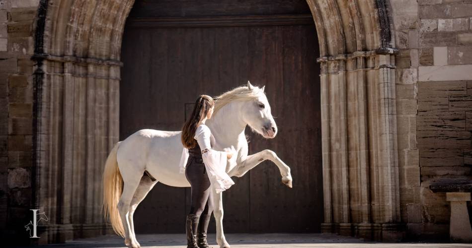 Les Écuries En'Vol@Écuries En'Vol