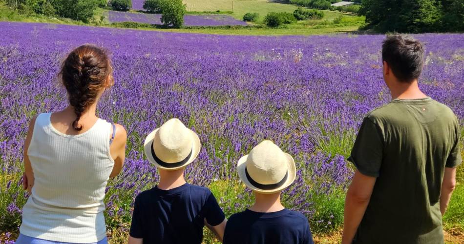 Randonnée lavandes et plantes aromatiques@Corinne Mangeot