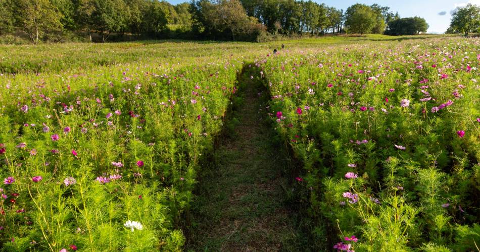 Domaine les Davids - La Promenade des Davids@Frédéric Raevens